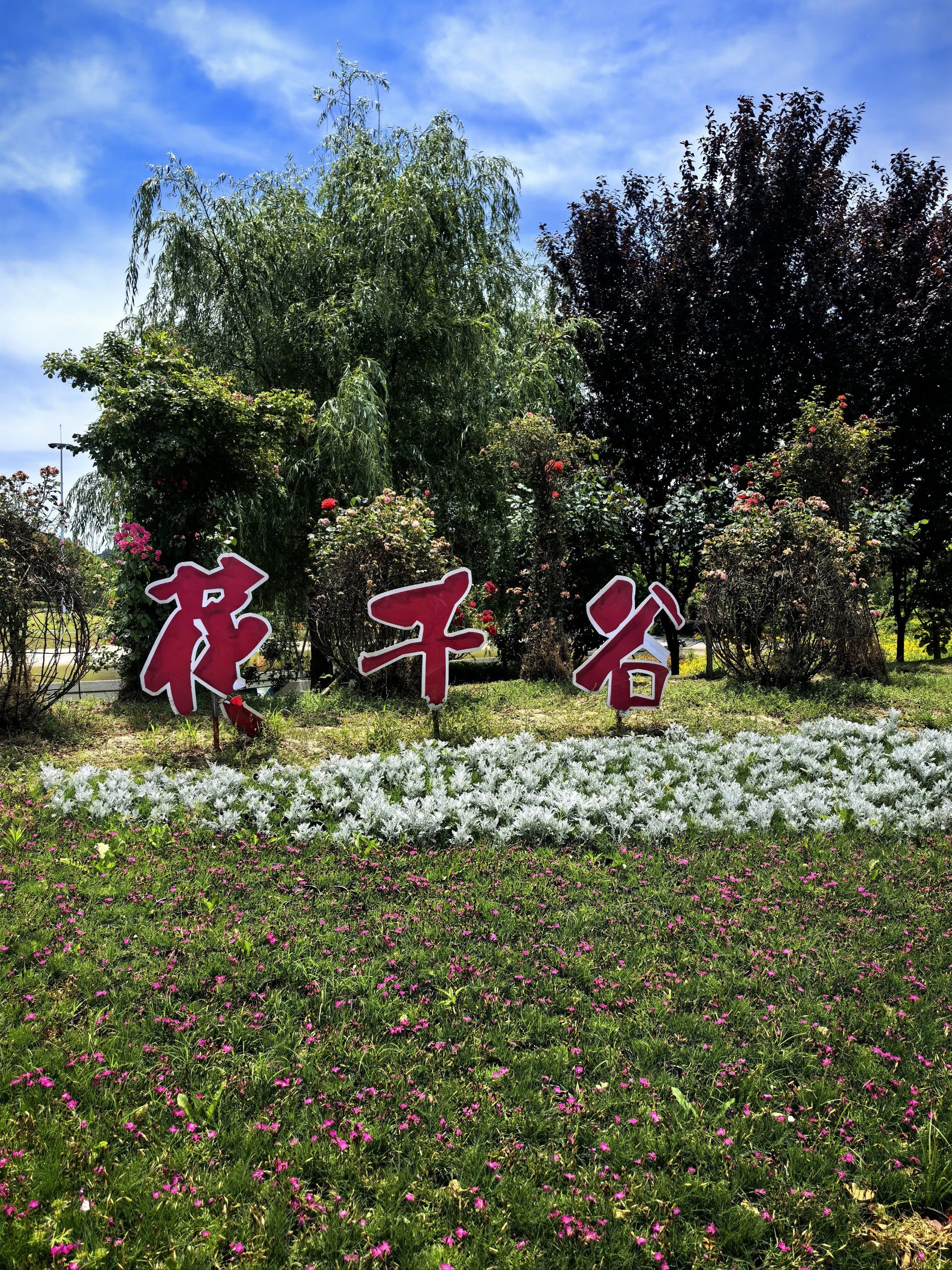 户外烧烤首选花千谷里的这家!