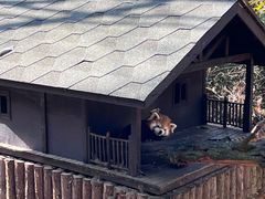 -云南野生动物园