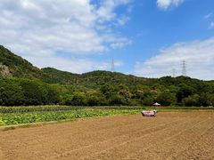 -八卦田遗址公园