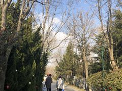 -芭东小镇温泉