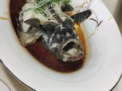 清蒸龙胆石斑鱼-鑫悦楼煎蟹·16年海鲜大排档