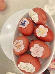 -维倪月子会所(独栋庭院·南海店)