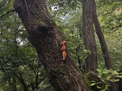 -爱骅裤带面馆(东木头市店)