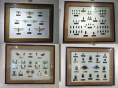 -上海昆虫博物馆