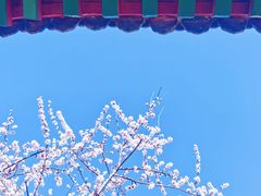 -北京凤凰岭