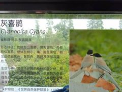 -肖记公安牛肉鱼杂馆· 省级非物质文化遗产(仁和路店)