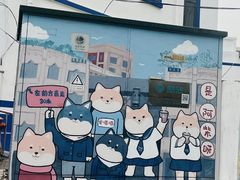 -是阿柴呀！柴犬咖啡·爱喵喵猫咖
