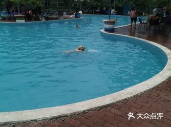 和训练场 一个狗头50块钱入场费