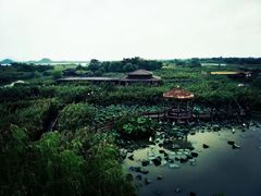 -下渚湖国家湿地公园科普馆