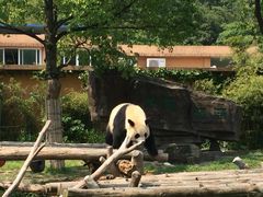 -石家庄市动物园