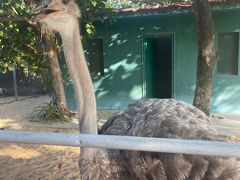 -海南清水湾莱佛士酒店