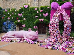 -青岛方特梦幻王国