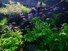 -上海海洋水族馆