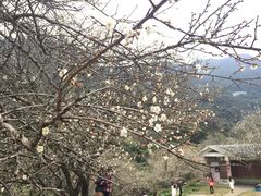 -广州市石门国家森林公园