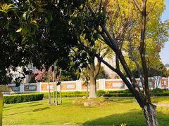 景点-七宝老街-闵行市民文化广场