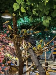 -酷嗒动物文化乐园(cutezoo西溪乐天城店)