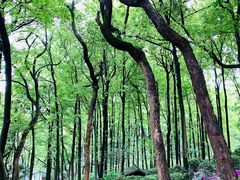 -中国茶叶博物馆(双峰馆区)