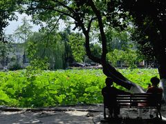 -西南交通大学(九里校区)