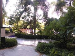 android_upload_pic-三亚亚龙湾红树林度假酒店