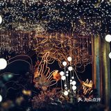 YiMo Wedding | 一场蓝色星空婚礼