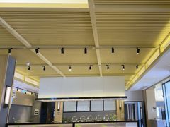 -枣子树·素食餐厅(朱家尖店)
