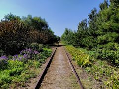 -永定河休闲森林公园