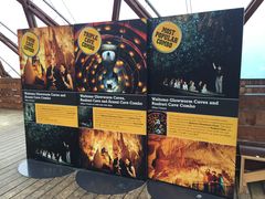 -怀托摩萤火虫洞