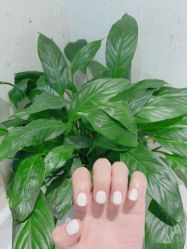 -OAE日式皮肤管理お肌の