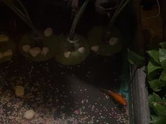 -怡泰SPA·泰疗按摩(徽宁路店)