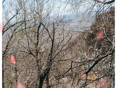 -天津盘山风景名胜区