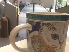 -飞行喵MR PILOT|猫舍·猫咖(静安大融城店)
