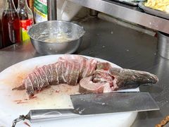 -煲来饱去冷水鱼