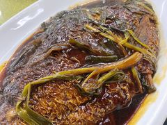 葱烤大扁鱼-协和菜馆(凤凰街店)