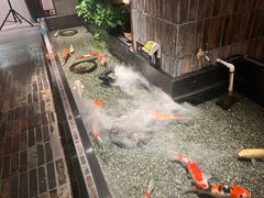 -0776食堂·京城创意菜(七里庄店)