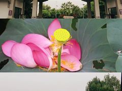 -武汉长江大桥