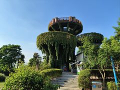 -芒洲湿地公园