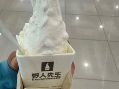 -野人先生Gelato(上海长宁龙之梦店)
