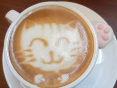 -猫色咖啡·猫咖