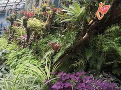 -长春公园(普阳街道)