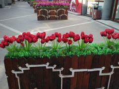 -龙湖星悦荟(颐和店)