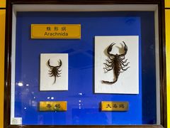 -上海昆虫博物馆