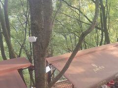 -巴倒烫陆派火锅山庄(南山总店)