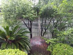 -上海海洋大学鱼文化博物馆(军工路校区)