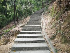 -火炉山森林公园