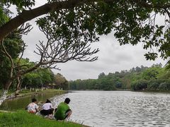 -番禺大夫山森林公园