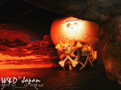 -东京塔海贼王主题公园