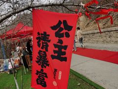 -樱花山风景区