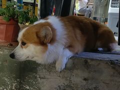 -小梁哥云吞面(黄贝岭店)