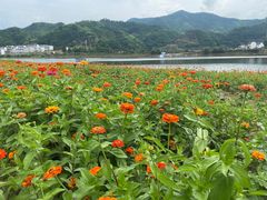 -新安江山水画廊风景区