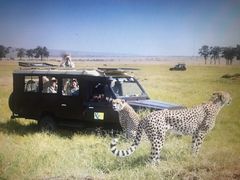 -神农溪纤夫文化旅游区